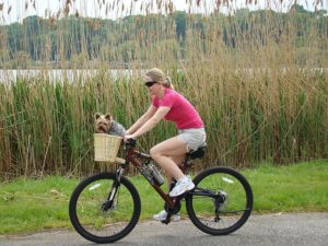 fahrradkorb hund als alternative zum Fahrradfahren mit hund