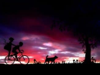 radfahren mit hund