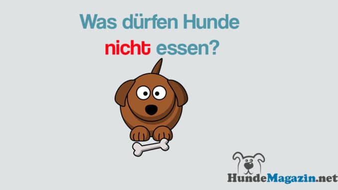owalo design Hunde Zum Essen