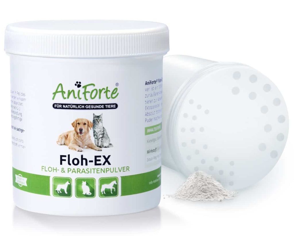 Hundeflöhe So erkennst du Flöhe bei Hunden und bekämpfst sie