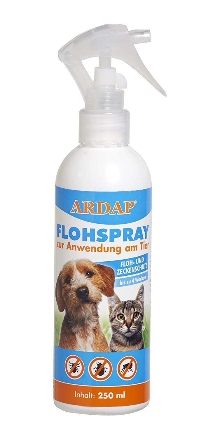hund hat trockene haut hausmittel