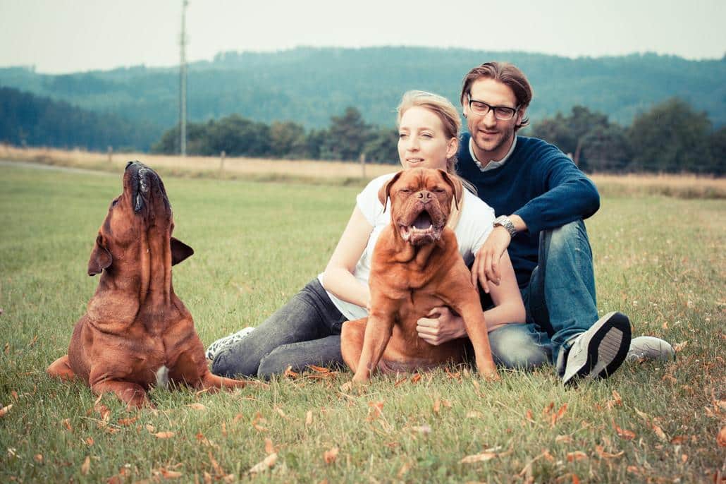 Hier ist das Team von "große Hunderassen" zu sehen. Cecile und Daniel sowie die beiden Hunde Oscar und Bruno