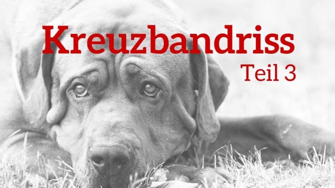 Erfahrungen zum Kreuzbandriss Teil 3 Unsere Erfahrungen zum Kreuzbandriss Teil 3