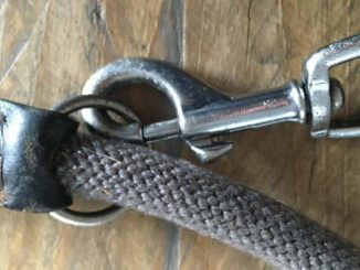 Detailaufnahme vom Karabiner der Hunter Leine