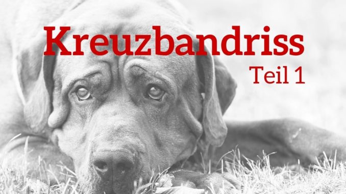 Kreuzbandriss