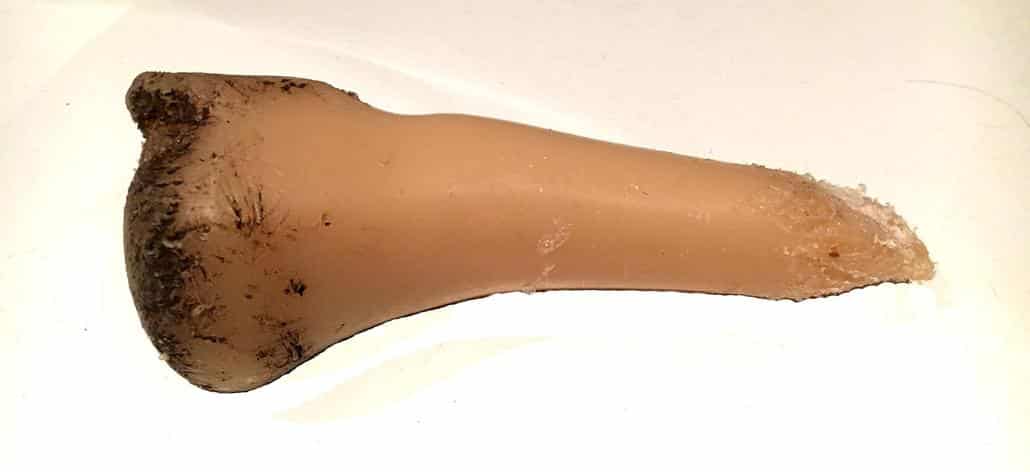 Der Nylabone Kauknochen bei uns in regelmäßiger Benutzung