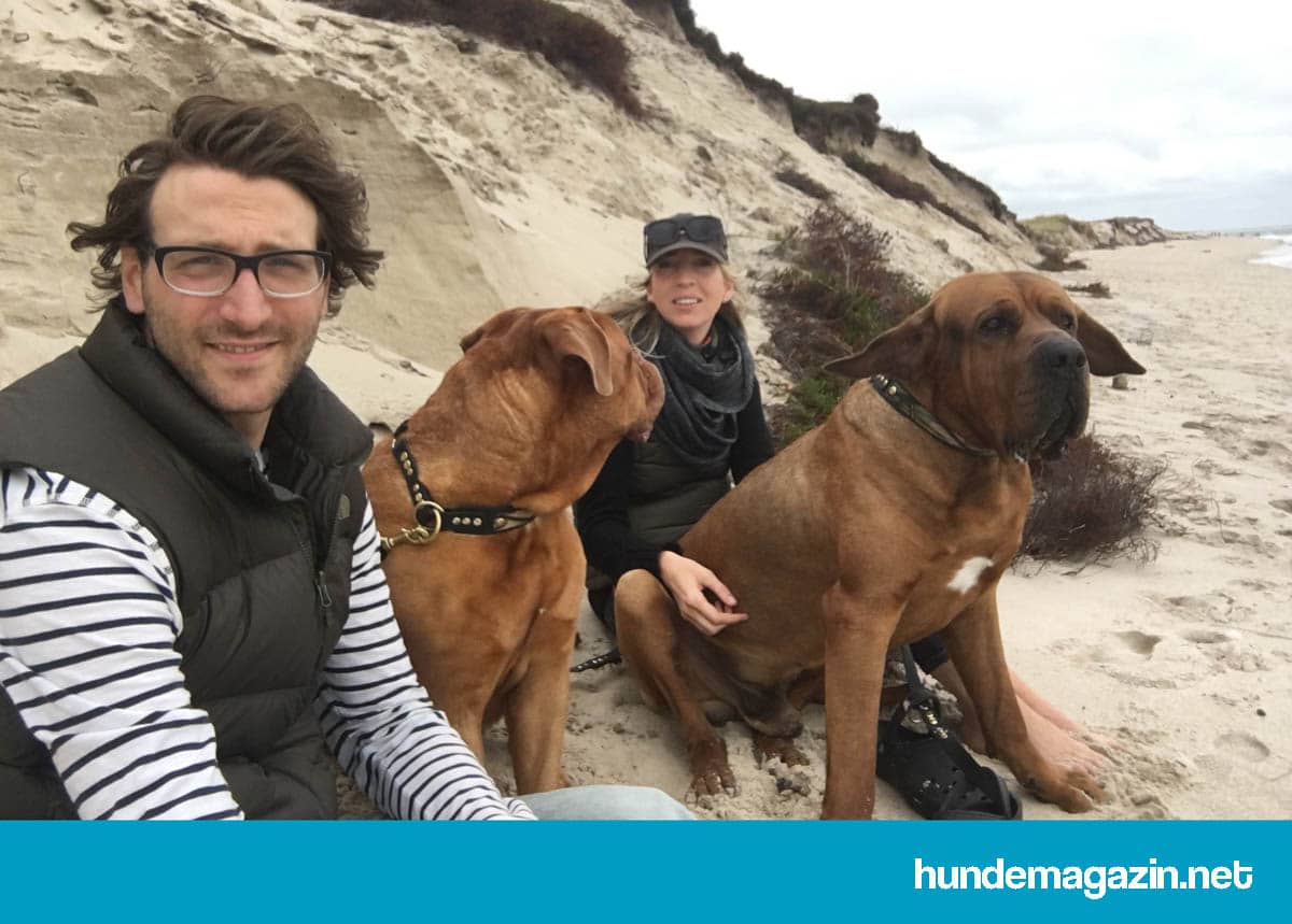 Hund kostet Geld und bringt Lebensqualität