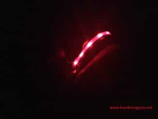 Leuchthalsband Hund Test, u.a. das Leuchtie, Wolters Nightshift und Karlie Flamingo Visio Light