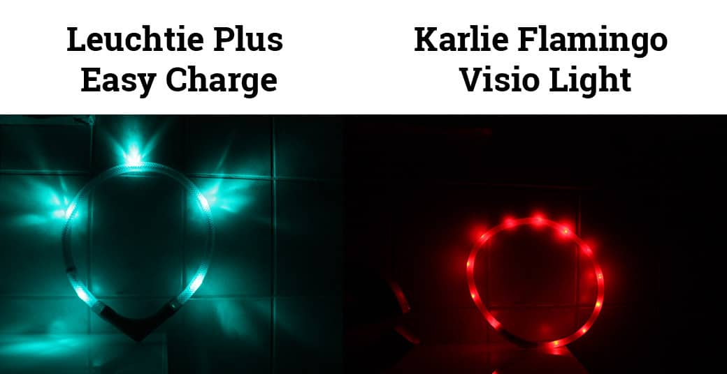 Leuchthalsband Test Was bringt das LED Halsband für Hunde