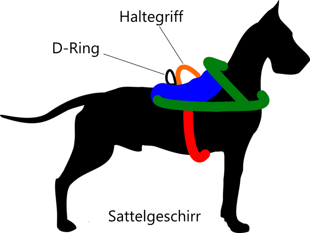 Sattelgeschirr