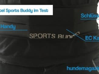 Laufgürtel Sports Buddy Test