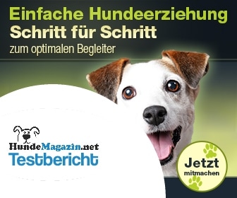 online-hundetraining-testbericht