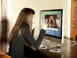 Petchatz HD