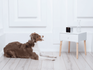 petcube