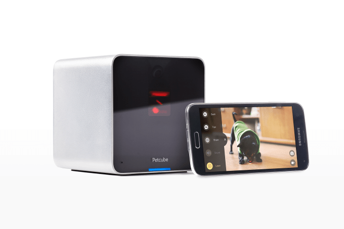 petcube app