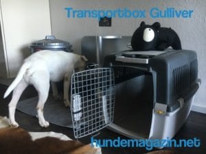 transportbox gulliver - ideale Transportbox für Katzen und Hunde
