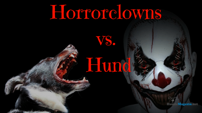 horrorclown-hund