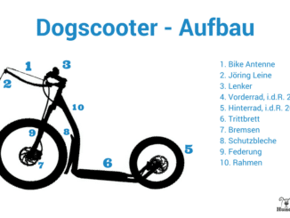 Infografik zum technischen Aufbau eines Dogscooter