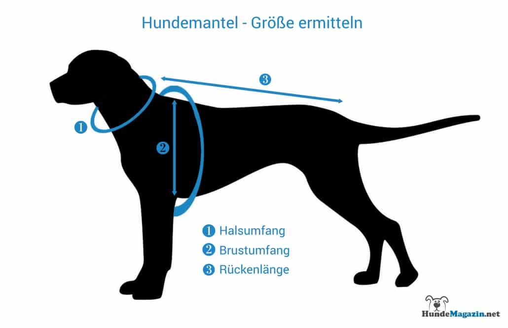hundemantel-groesse-ermitteln - Infografik