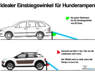 hunderampe-einstiegswinkel-infografik