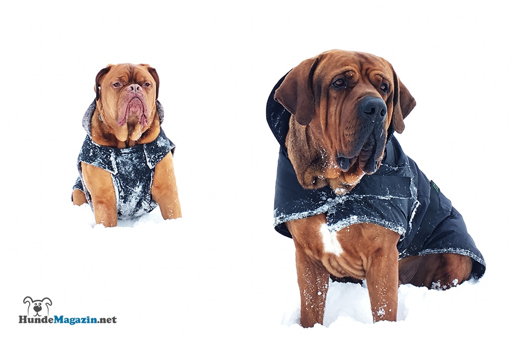 Mantel Für Große Hunde