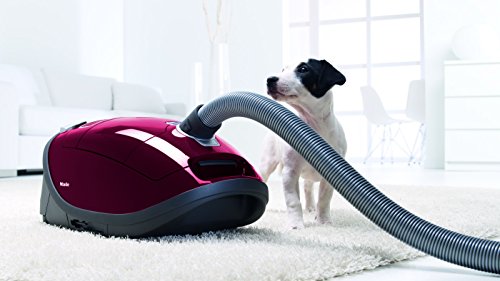 miele-complete-c3-cat-und-dog