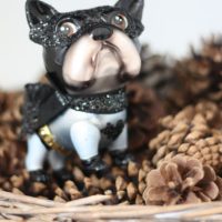 batdog-im-atzelnest