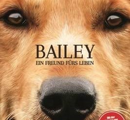 Baily - Ein Freund fürs Leben