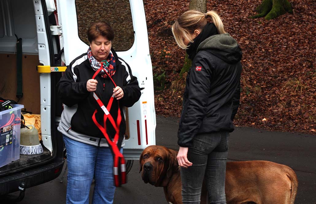 dogscooter geschirr auswaehlen