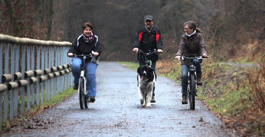 dogscooter lernen