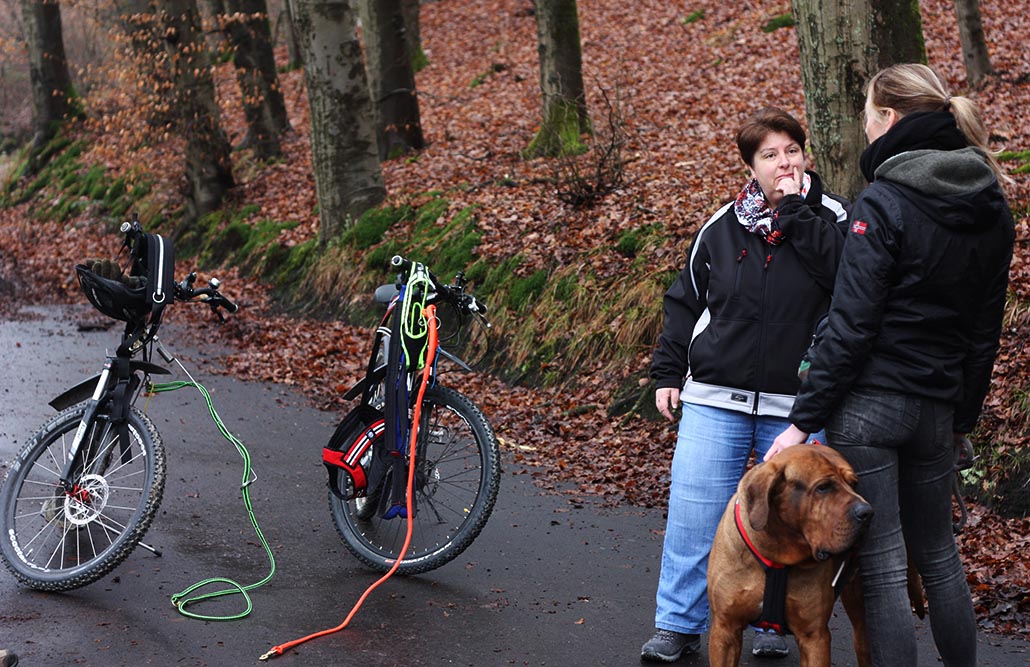 dogscooter seminar fragen