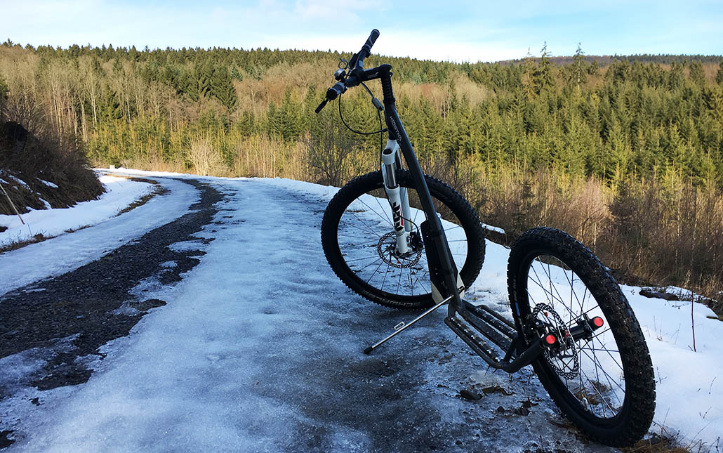 kostka mushing max test
