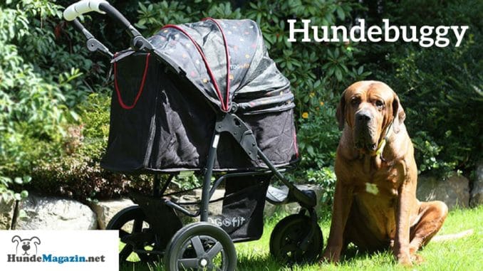 Hundebuggy im Test