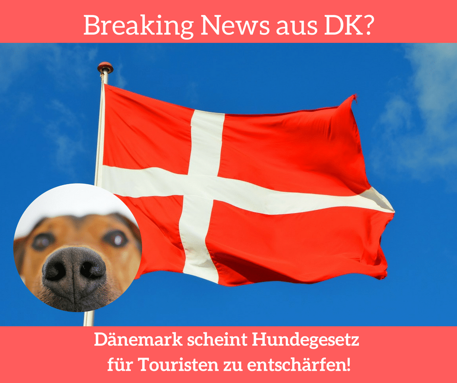 Dänemark will Hundegesetz für Touristen Hunde entschärfen
