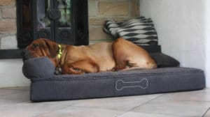 pallina hundebett