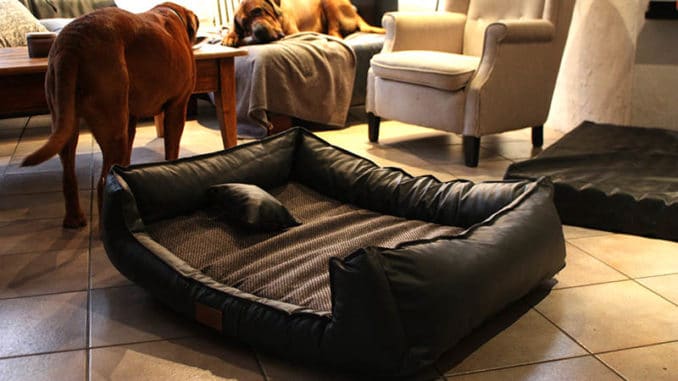 tierlando orthopaedisches hundebett linus test