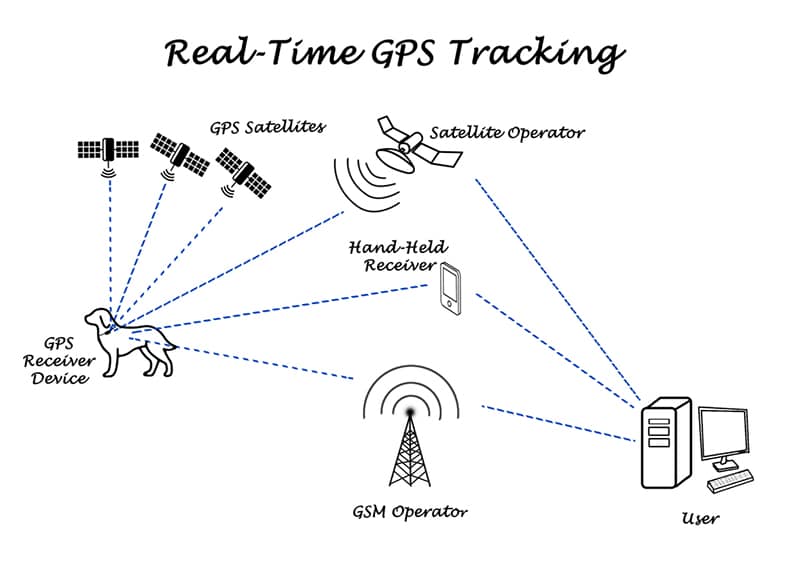 GPS Sender für Hunde - Infografik Satellit