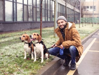 Städtereise Mann mit eigenen Hunden