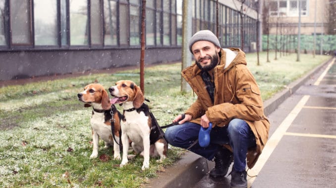 Städtereise Mann mit eigenen Hunden